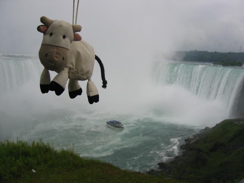 Horseshoe Falls, Niagara