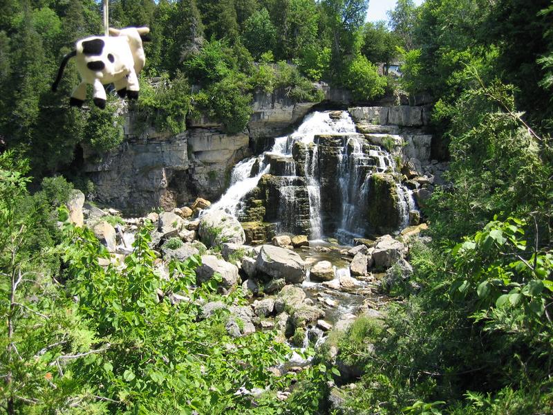 Inglis Falls