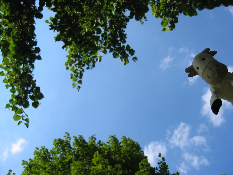 Dangly, Blue Sky, Floating