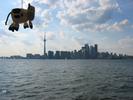 Toronto Skyline