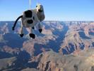 Dangly Cow swooping over Bright Angel Canyon