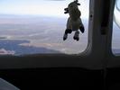 Dancly Cow isn%27t scared of flying!