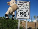 Dangly Cow gets her kicks on Route 66!